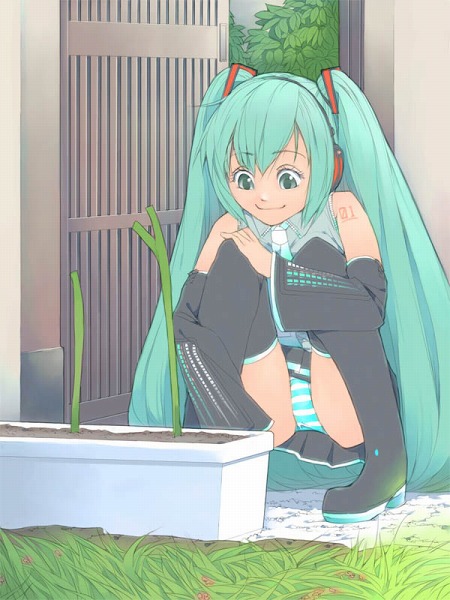 miku_5_039.jpg